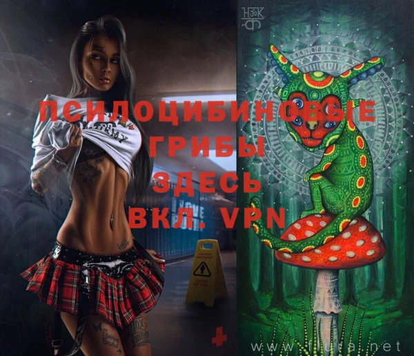 молекула духа Алексин