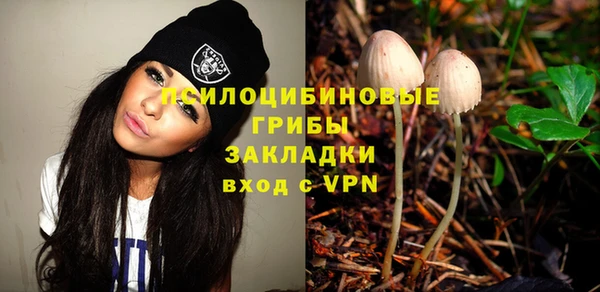 молекула духа Алексин