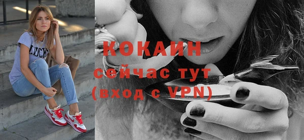 тгк Алзамай