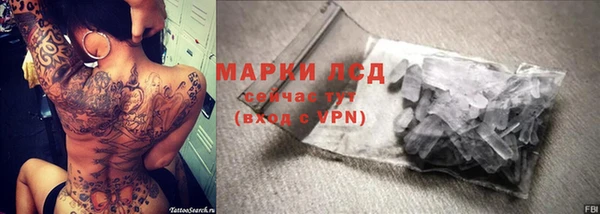 тгк Алзамай